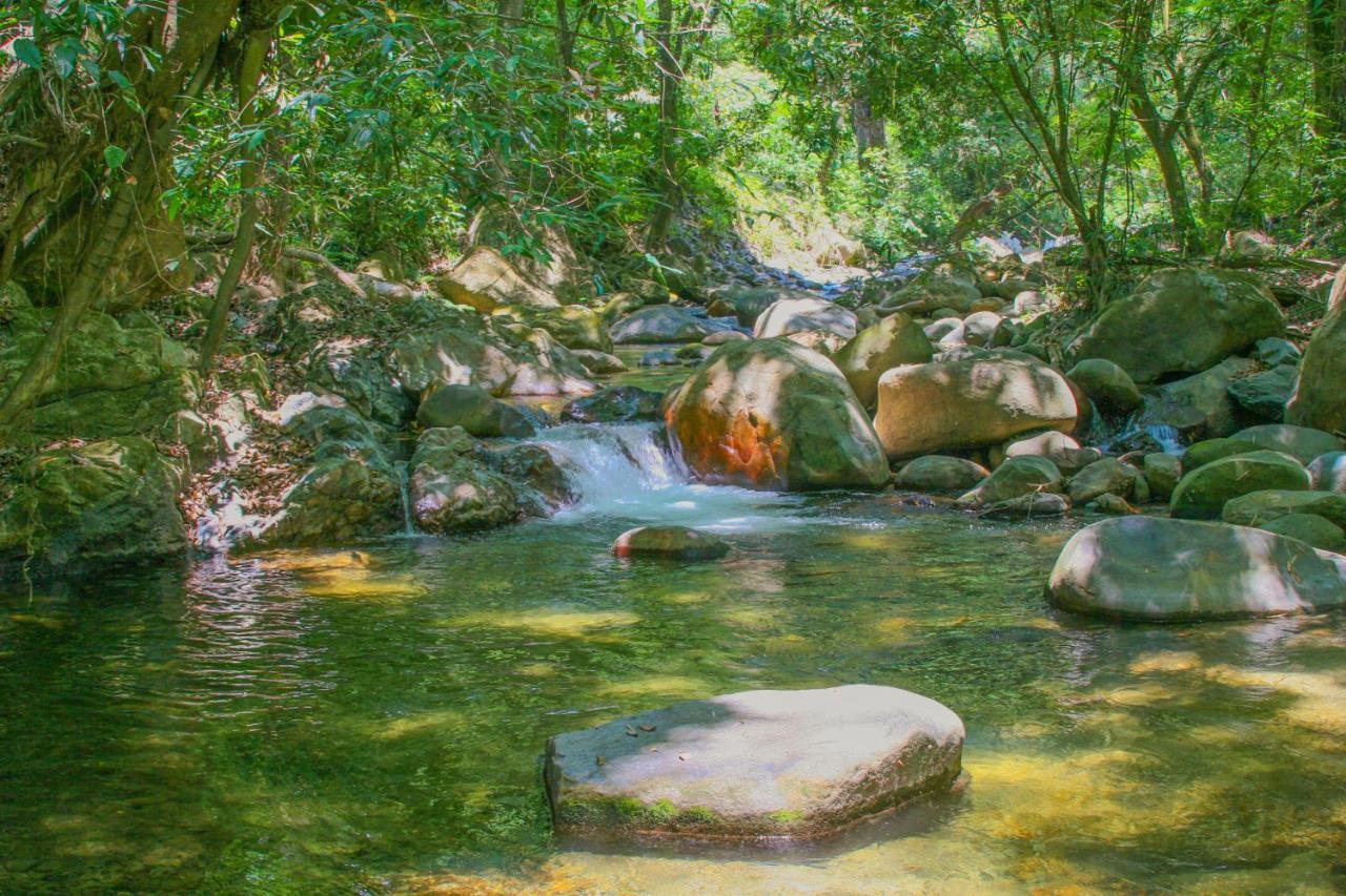 Las Cabanas Del Rio Minca Eksteriør bilde