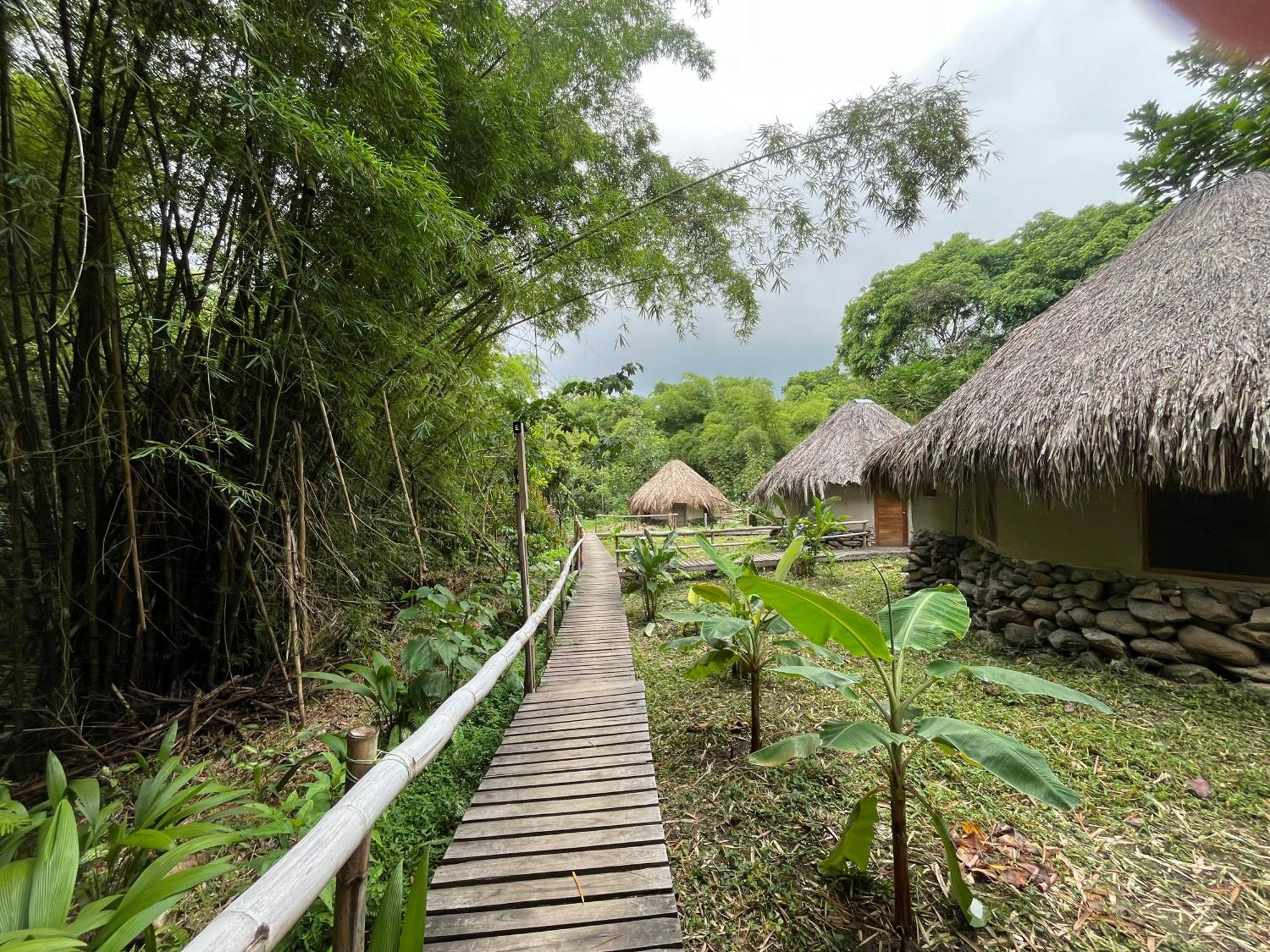 Las Cabanas Del Rio Minca Eksteriør bilde